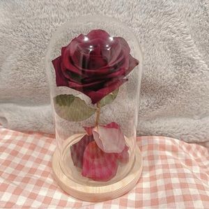 Handmade Preserved Fresh Flower